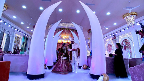 elephant-teeth-entry