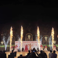 snap_Special Effect For Ring Ceremony